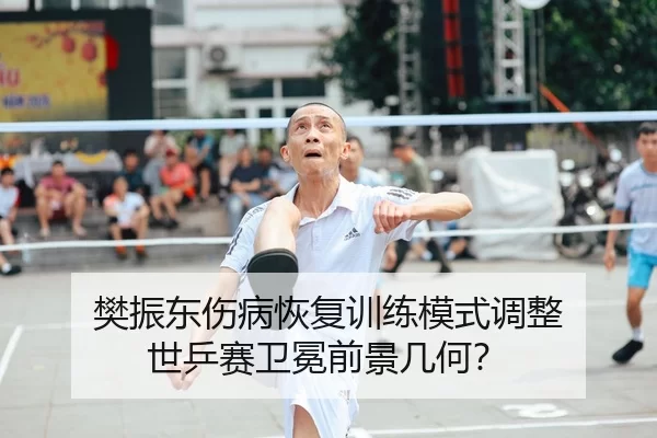 樊振东伤病恢复训练模式调整 世乒赛卫冕前景几何？